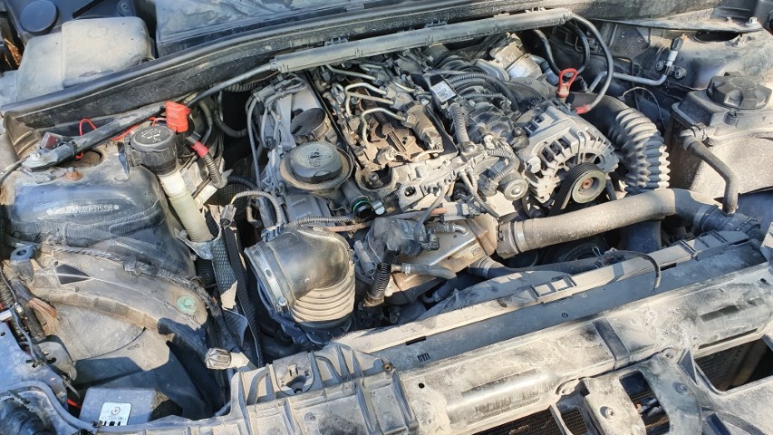 EGR1 (Small).jpg